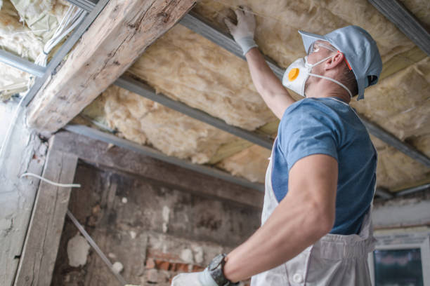 Best Insulation Repair Services  in Carroll Valley, PA