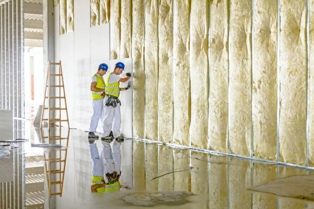 Best Affordable Insulation Services  in Carroll Valley, PA